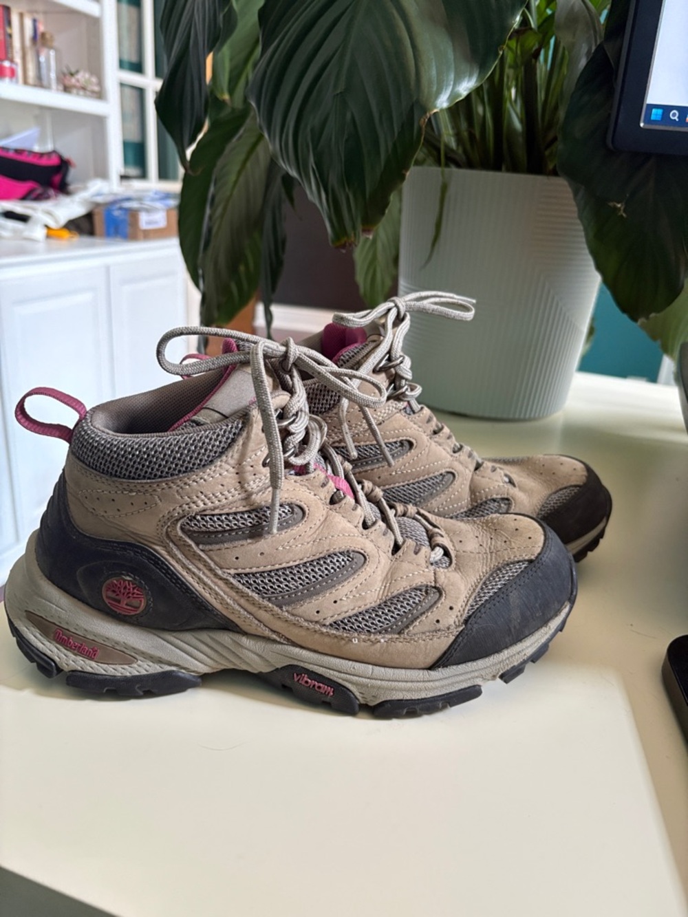 Timberland Women’s Tan and Mauve Trail Hiking Shoes
